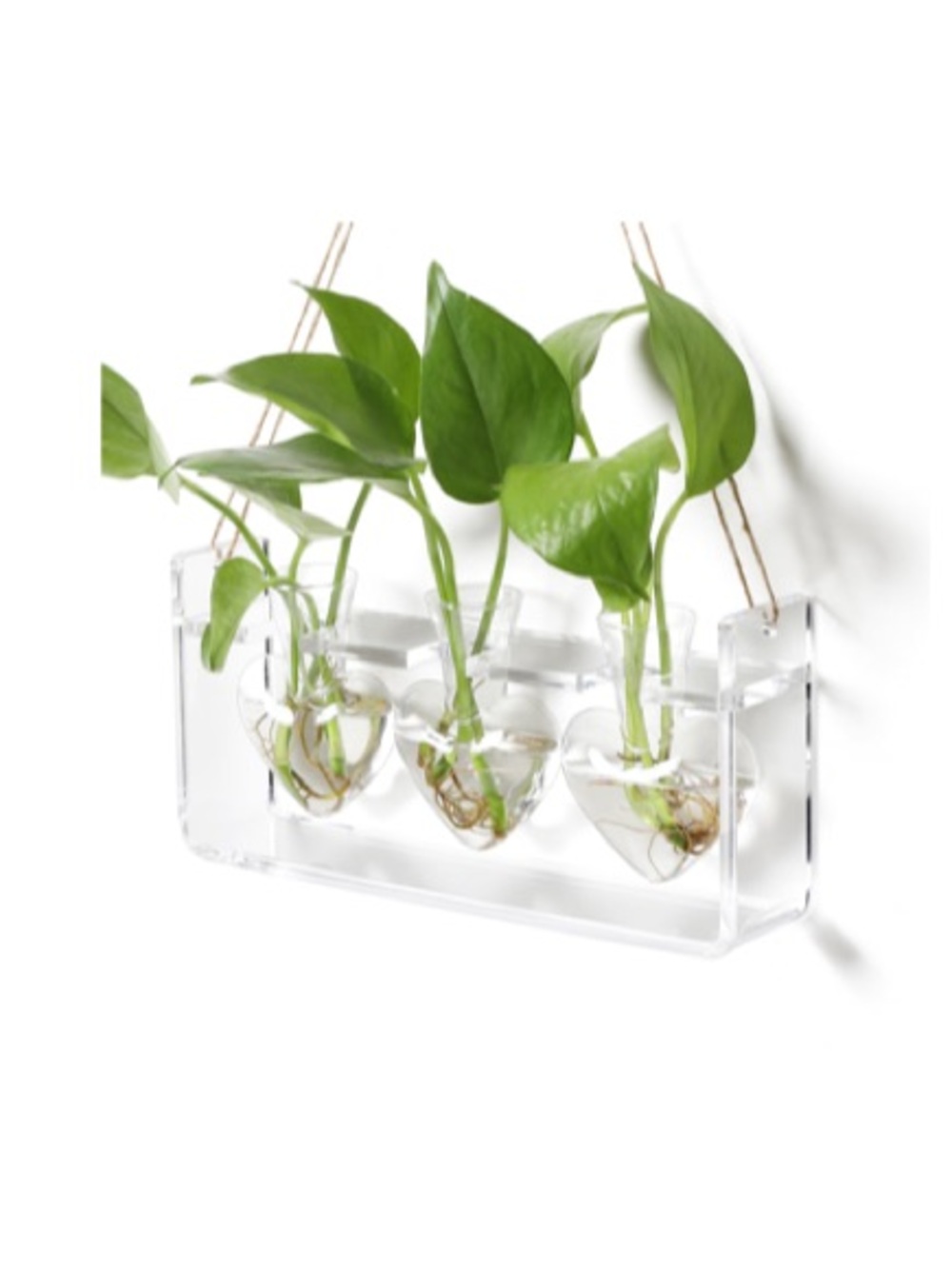 Baderke 4 Pcs Wall Hanging Planter Wall Window Propagation Station Hanging